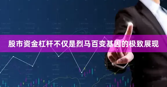 股市资金杠杆不仅是烈马百变基因的极致展现